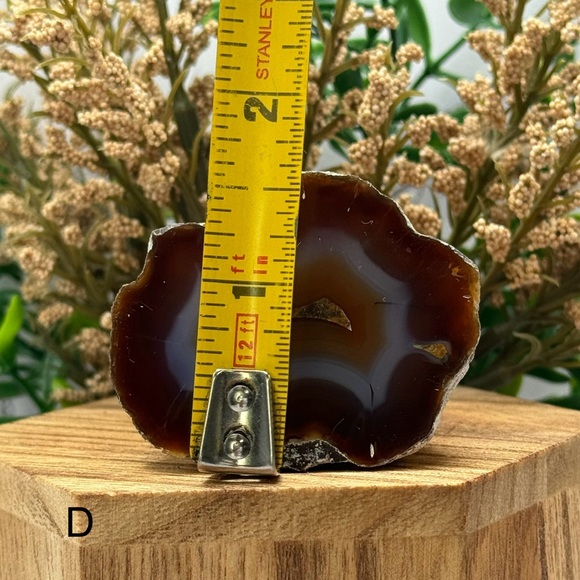 Coyamito Agate from Chihuahua Mexico - Picture 7 of 7